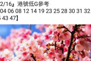 2/16香港六合彩參考看看