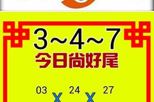 2/15今彩539參考看看