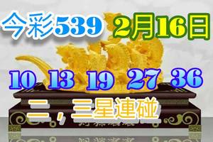 2/16今彩539參考看看