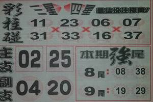 2/16今彩539參考看看