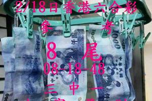 2/18日~香港六合彩參考~