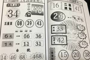 2/20六合彩參考看看
