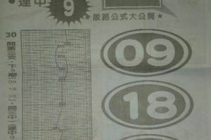 2/20香港六合彩水報>>參考就好