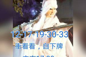 2/19今彩539參考看看