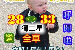 2/20今彩539參考看