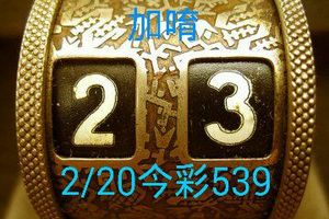 2/20今彩539參考看