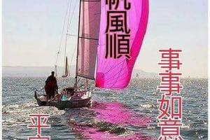 2/20今彩539參考看