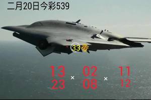 2/20今彩539參考看