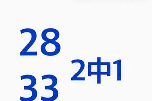 2/20六合彩參考看