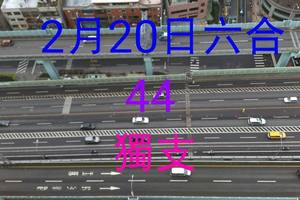 2/20六合彩44>>>參考看祝大家發大財