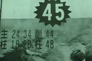 2/20六合彩>>參考看看