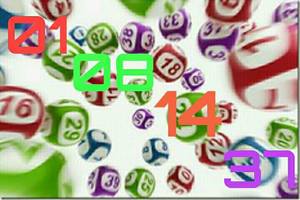 2/20六合彩參考看看