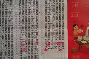 2/20六合彩版路參考看