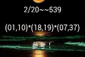 2/20今彩539參考看