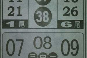 2/20今彩539參考看