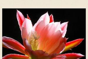 2/23六合彩低G參考看>>>祝大家元宵節快樂