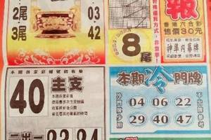 2/23火報>>>六合彩參考看看