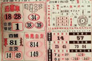 2/23六合彩參考看看