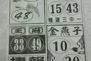 2/23石頭公>>六合彩參考看看無絕對