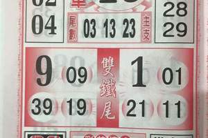 2/23今彩539參考看看