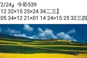 2/24今彩539參考看看