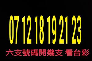 2/24今彩539參考看看
