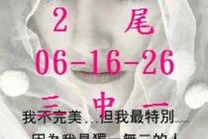 2/25六合彩參考看看