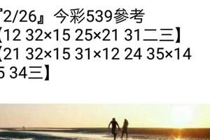 2/26今彩539參考看看