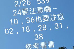 2/26今彩539參考看看