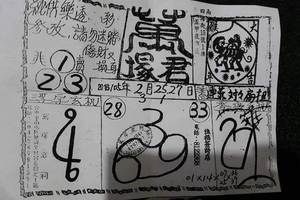 3/1-萬塚君-六合彩參考