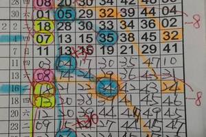 3/1六合彩版路參考看看