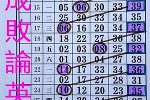 2/29今彩539參考看
