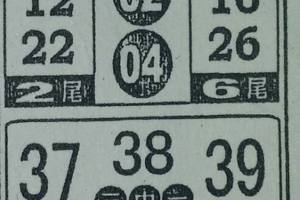 2/29今彩539參考看