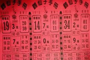 3/1~3/3鶴仙子手冊>>>六合彩參考看