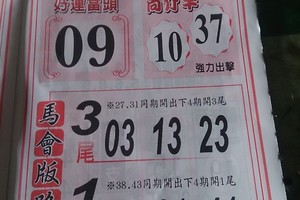 3/1六合彩參考看