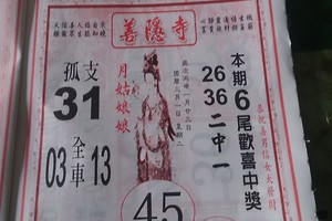 3/1雷公神>>>六合彩參考看看