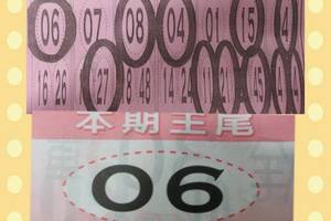 3/1六合彩參考>>>本期王尾6尾參考看