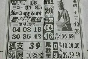 3/1石頭公>>>六合彩參考看