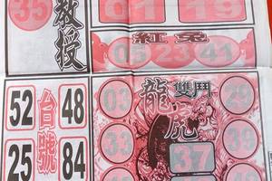 3/1龍報>>>六合彩參考