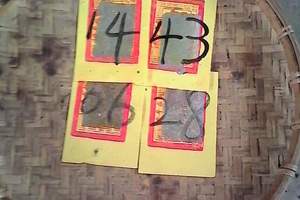 3/1神明牌號碼>>六合彩參考就好