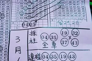 3/1六合彩連碰參考看看