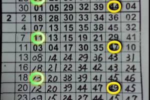 3/1六合彩版路參考看>>>有合在用