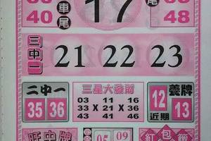 3/1六合彩參考看看