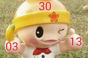 3/1六合彩參考看看