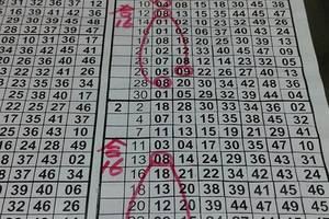 3/1香港六合彩>>>孤支、尾數版路參考看看