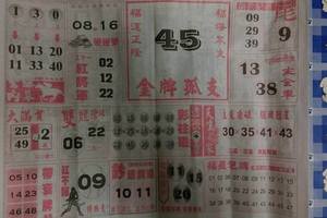 3/1金牌孤支45>>六合彩僅供參考