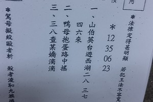 3/3震興宮>>>六合彩參考