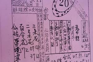 3/3七仙姑-六合彩參考