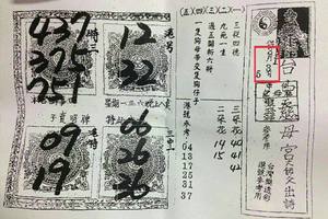 3/3-3/5 台中慈母宮-六合彩參考