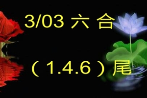 3/3六合彩尾數>>>參考看